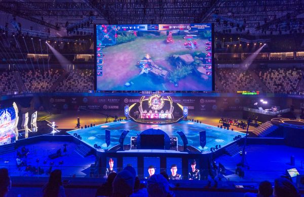 他们在整个 他们在整个